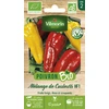 Image de Poivron Mélange de Couleurs - BIO | Vilmorin Jardin