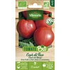 Image de Tomate Coeur de Boeuf (Cuor di Bue) - BIO | Vilmorin Jardin