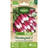 Image de Radis Flamboyant 2 - BIO | Vilmorin Jardin