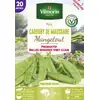 Image de Pois Mangetout Carouby de Maussane - 20 m | Vilmorin Jardin