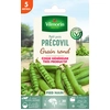 Image de Pois Nain à Grain Rond Précovil - 5 m | Vilmorin Jardin