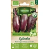 Image de Betterave Potagère Cylindra - BIO | Vilmorin Jardin