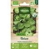 Image de Mâche Baron - BIO | Vilmorin Jardin