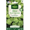 Image de Shiso Vert - Cuisine du Monde | Vilmorin Jardin