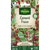 Image de Epinard Fraise - Légumes d'Autrefois | Vilmorin Jardin