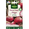 Image de Betterave Potagère Chioggia - Cuisine du Monde | Vilmorin Jardin