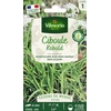 Image de Ciboule de Chine - Cuisine du Monde | Vilmorin Jardin