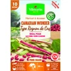 Image de Haricot Nain à Ecosser Canadian Wonder (type Rognon de Coq) - 10 m - Cuisine du Monde | Vilmorin Jardin