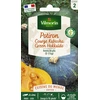 Image de Potiron (Courge Kabocha) Green Hokkaido - Cuisine du Monde | Vilmorin Jardin