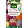 Image de Betterave Potagère Arc-en-Ciel en mélange | Vilmorin Jardin