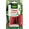 Image de Piment Jalapeño - Cuisine du Monde | Vilmorin Jardin