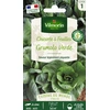 Image de Chicorée à Feuilles Grumolo Verde - Cuisine du Monde | Vilmorin Jardin