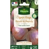 Image de Oignon Rouge Morada de Amposta - Cuisine du Monde | Vilmorin Jardin