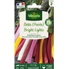 Image de Poirée Bright Lights en mélange | Vilmorin Jardin