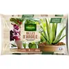 Image de Billes d'Argile - 5 L | Vilmorin Jardin