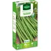 Image de Haricot Nain Vert Talisman | Vilmorin Jardin