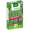 Image de Haricot Nain Vert Oxinel 2 + 20 g Offert | Vilmorin Jardin