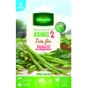 Image de Haricot Nain Vert Oxinel 2 - 5 m | Vilmorin Jardin