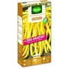 Image de Haricot Nain Beurre Goussdor + 20 g Offert | Vilmorin Jardin