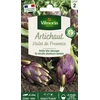 Image de Artichaut Violet de Provence | Vilmorin Jardin