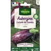 Image de Aubergine Listada de Gandia - Cuisine du Monde | Vilmorin Jardin