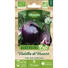 Image de Aubergine Violette de Florence (Violetta di Firenze) - BIO | Vilmorin Jardin