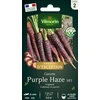 Image de Carotte Violette Purple Haze HF1 - Graines d'Exception | Vilmorin Jardin
