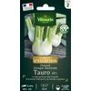 Image de Fenouil Tauro HF1 - Graines d'Exception | Vilmorin Jardin