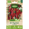 Image de Piment de Cayenne - BIO | Vilmorin Jardin