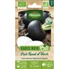 Image de Radis Noir Gros Rond d'Hiver - BIO | Vilmorin Jardin