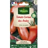 Image de Tomate Cornue des Andes - Légumes d'Autrefois | Vilmorin Jardin