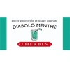 Image de Herbin - Encre Traditionnelle à stylo en Flacon "D" 30ml - Diabolo Menthe