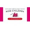 Image de Herbin - Encre Traditionnelle à stylo en Flacon "D" 30ml - Rose cyclamen