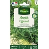 Image de Aneth Officinal | Vilmorin Jardin