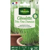 Image de Ciboulette Très Fine Danoise | Vilmorin Jardin