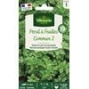 Image de Persil Commun 2 | Vilmorin Jardin