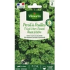 Image de Persil Frisé Vert Foncé Race Verbo | Vilmorin Jardin