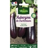 Image de Aubergine de Barbentane | Vilmorin Jardin