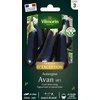 Image de Aubergine Avan HF1 - Graines d'Exception | Vilmorin Jardin