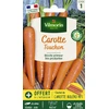 Image de Carotte Touchon + échantillon Boléro | Vilmorin Jardin
