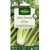 Image de Céleri Branche d'Elne | Vilmorin Jardin