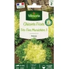 Image de Chicorée Frisée Très Fine Maraîchère 3 | Vilmorin Jardin