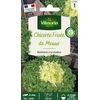 Image de Chicorée Frisée de Meaux | Vilmorin Jardin