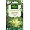 Image de Chicorée Scarole Ronde Verte à Coeur Plein | Vilmorin Jardin
