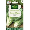 Image de Chicorée Scarole Cornet d'Anjou | Vilmorin Jardin