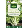 Image de Chicorée à Feuilles Améliorée Blonde | Vilmorin Jardin