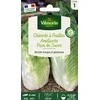 Image de Chicorée à Feuilles Améliorée Pain de Sucre | Vilmorin Jardin