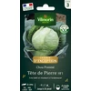 Image de Chou Blanc Tête de Pierre HF1 - Graines d'Exception | Vilmorin Jardin