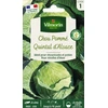 Image de Chou Blanc Quintal d'Alsace | Vilmorin Jardin