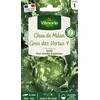 Image de Chou de Milan Gros des Vertus | Vilmorin Jardin